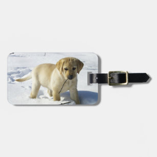 LR yellow lab puppy in snow Luggage Tag