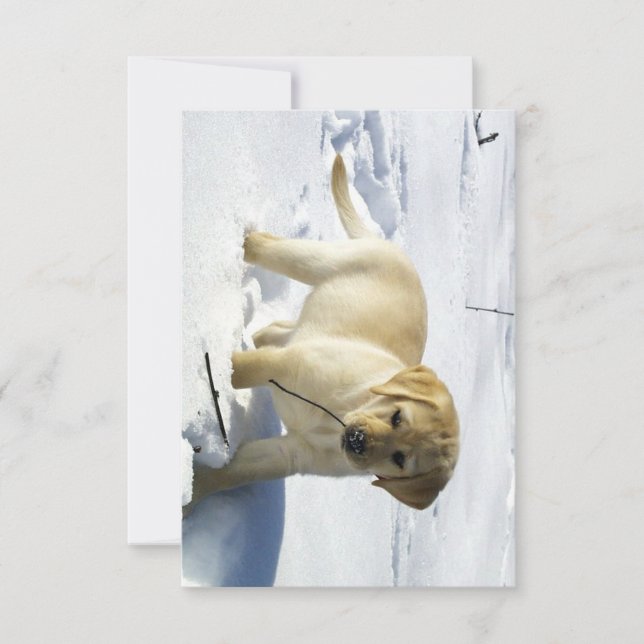 LR yellow lab puppy in snow Thank You Card (Front)