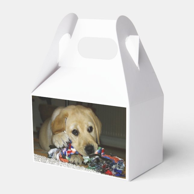 LR yellow lab puppy with toy Favor Boxes (Front Side)