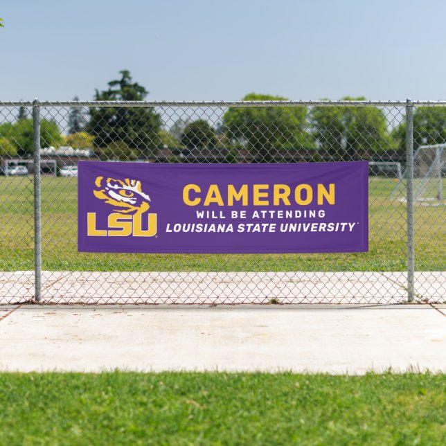 LSU Graduate Banner (Insitu)