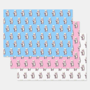 Lt Pink Ballerina Shoes En Pointe FL DIY BG Wrapping Paper Sheets