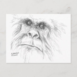 LTB Postcards