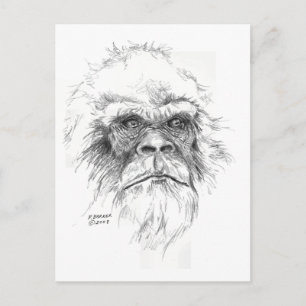 LTB Postcards