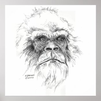Ltb Poster by letstalkbigfoot at Zazzle