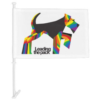 LTP PRIDE Car Flag