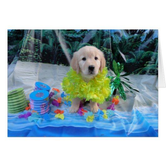 Luau Abby Cards (Front Horizontal)