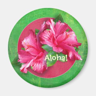 Luau Aloha Pink Hibiscus Magnets