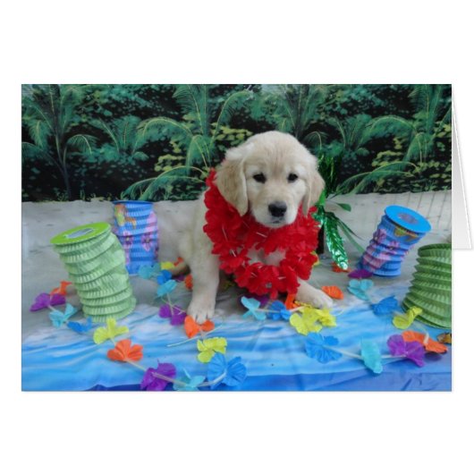 Luau Grace (Front Horizontal)