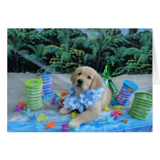 Luau Levi Cards (Front Horizontal)