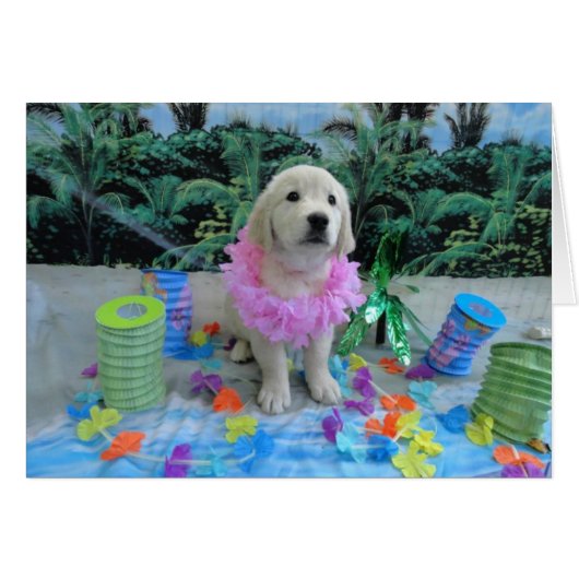 Luau Lucy Cards (Front Horizontal)