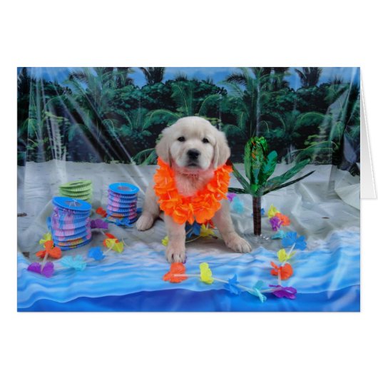 Luau Penny Cards (Front Horizontal)