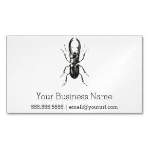 Lucanus Metallicus Beetle Business Card Magnet