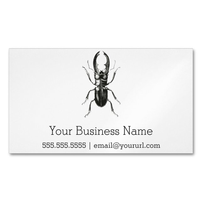 Lucanus Metallicus Beetle Business Card Magnet (Front)