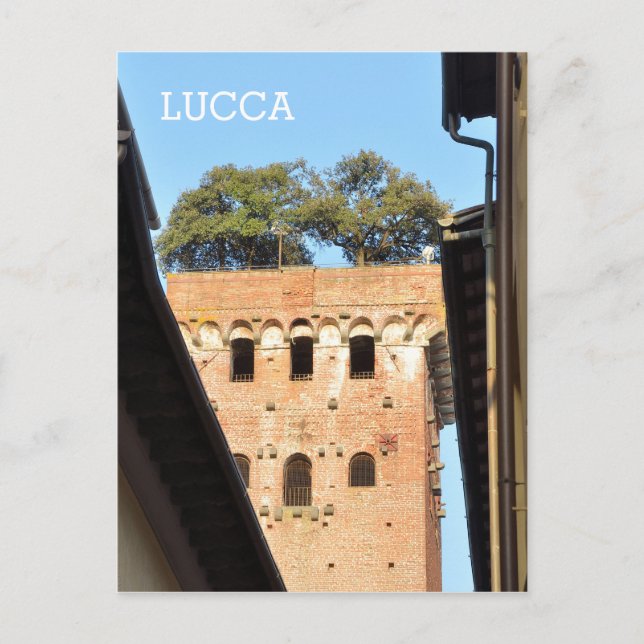 Lucca, Italy Postcard (Front)