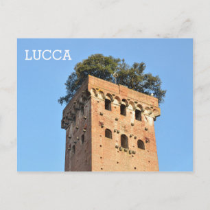 Lucca, Italy Postcard
