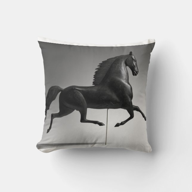 Luce Center Label Throw Pillow (Front)
