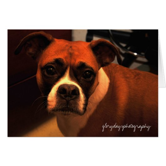 Lucie Monroe portrait Cards (Front Horizontal)