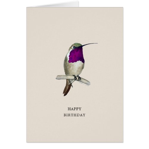 Lucifer Hummingbird Happy Birthday Card