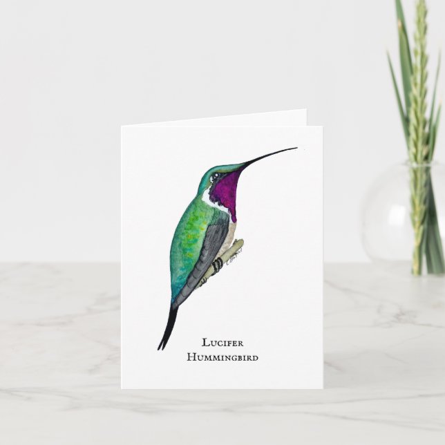 Lucifer Hummingbird Thank You Card (Front)