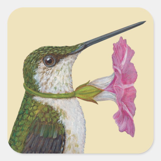 Lucinda the hummingbird stickers (Front)