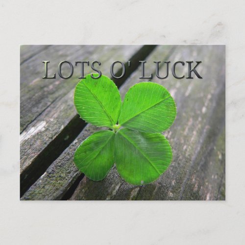 Lucky 4 leaf clover postcard