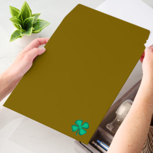 Lucky 4 Leaf Irish brown shipping envelope mailers