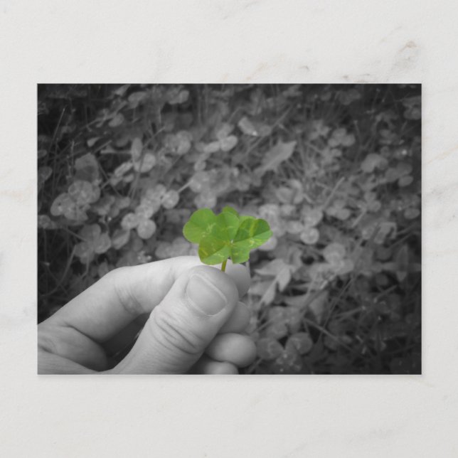 Lucky 6 (selective colored version) postcard (Front)