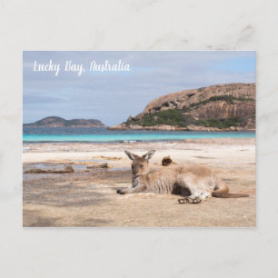Lucky Bay Beach Kangaroo, Australia Postcard