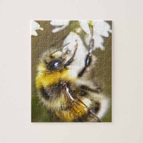 Lucky Bee Jigsaw Puzzle