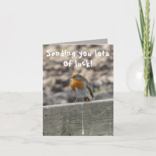 Lucky Bird Poo Good Luck Card