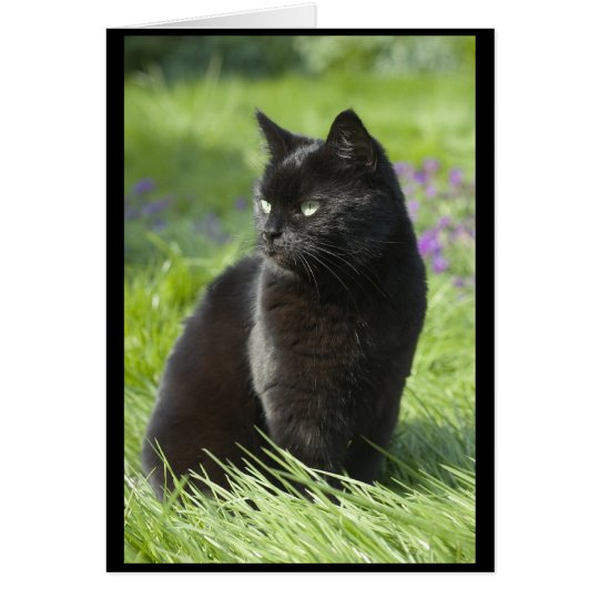 Lucky Black Cat Card
