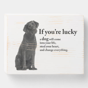 Lucky Black Lab Wooden Box Sign