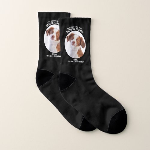 Lucky Brittany Spaniel Socks