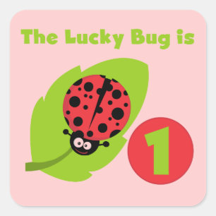 Lucky Bug 1st Birthday T-shirts and Gifts Square Sticker