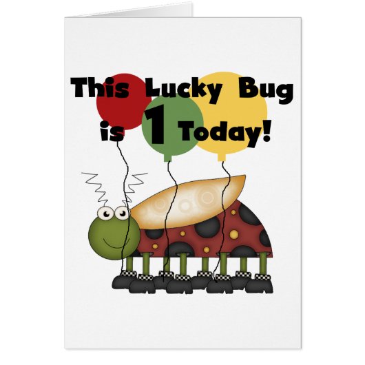 Lucky Bug is One Birthday Tshirts and Gifts (Front)