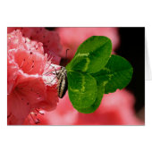 Lucky Butterfly (Front Horizontal)