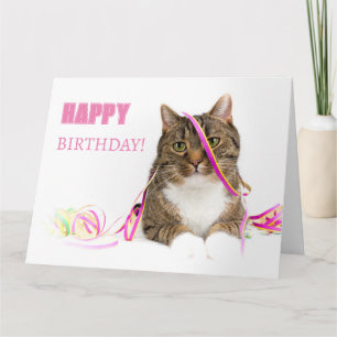 lucky card cat with snakes