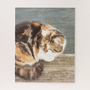 lucky cat, multi-lane on a board at the water thro jigsaw puzzle