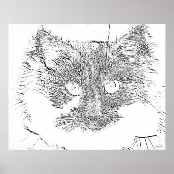 Lucky Cat Poster by abadu44 at Zazzle