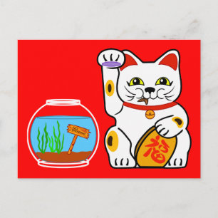 Lucky Cat. Unlucky Fish Postcard