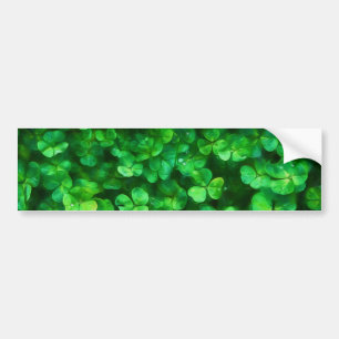 Lucky Celtic Irish Green Shamrocks Bumper Sticker