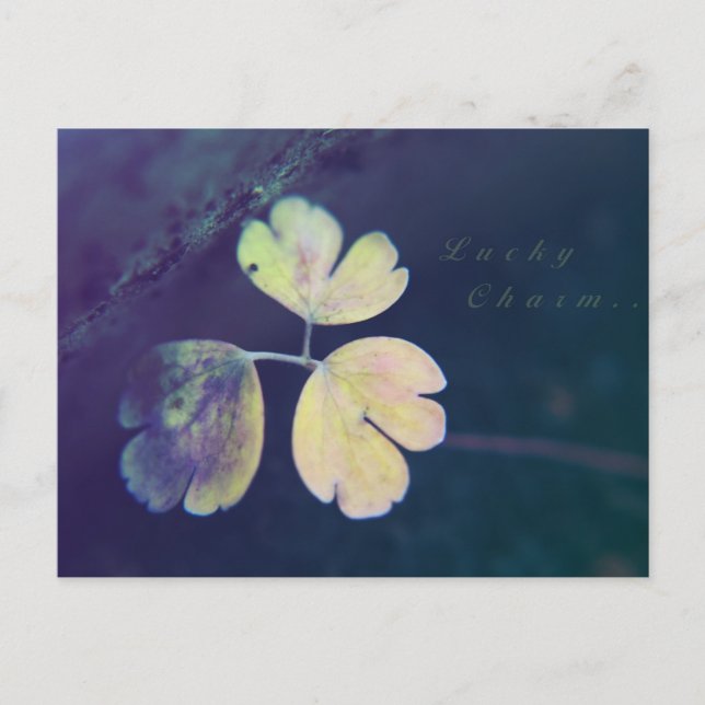Lucky Charm Postcard (Front)