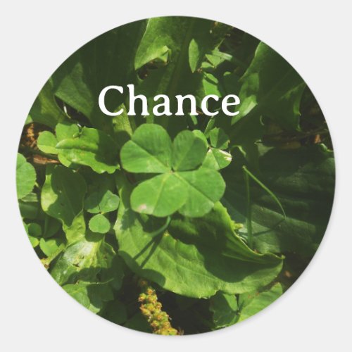 Lucky Charm Sticker _ Four Leaf Clover