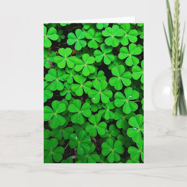 Lucky Clover Fresh View Card (Front)