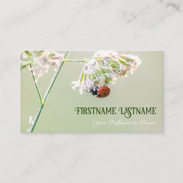 Lucky customers with lucky ladybugs! business card (Front)