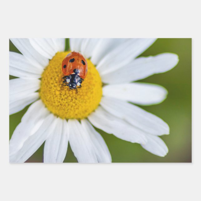 Lucky devil with this ladybug! wrapping paper sheets (Front 3)