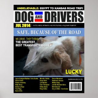 Lucky - Dog and Driver Poster