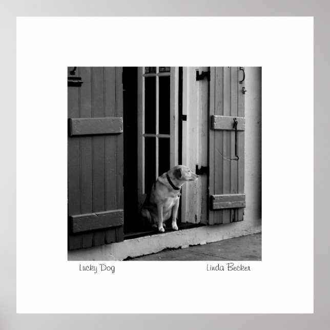 Lucky Dog by Linda Becker PhotoArt Poster (Front)