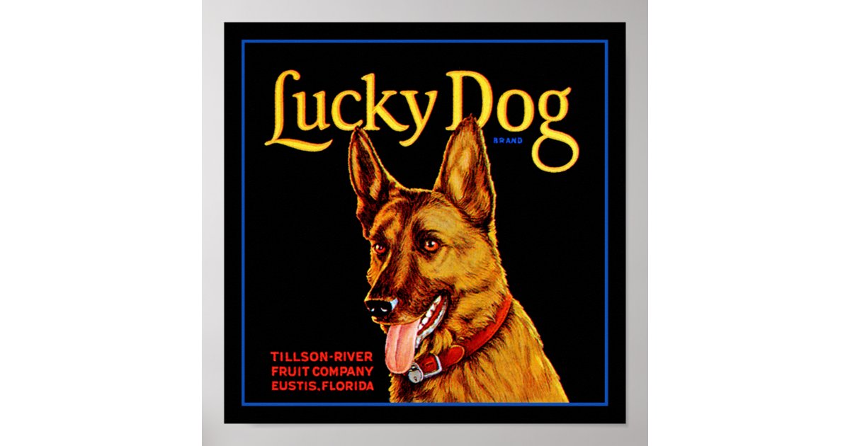 realistic lucky dog