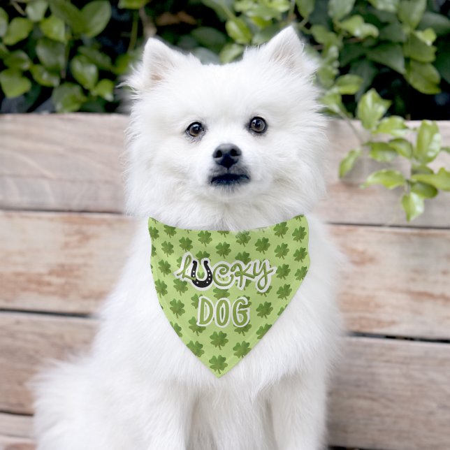 Lucky Dog Saint Patricks Four Leaf Clover Pet Bandana Collar (Dog)